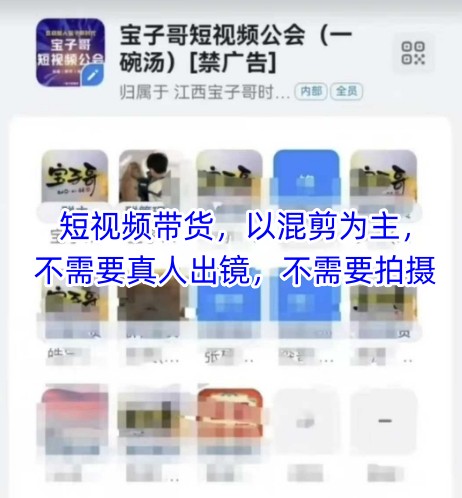 宝子哥头部团队短视频带货，以混剪为主，不需要真人出镜，不需要拍摄【更新12月】-项目创薪