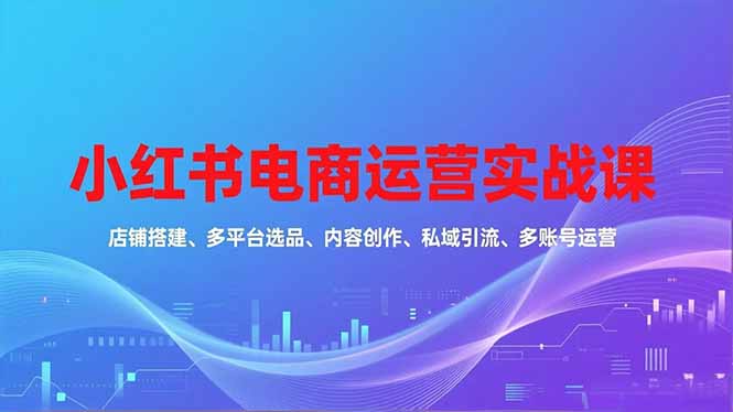 小红书电商运营实战课，店铺搭建、多平台选品、内容创作、私域引流、多账号运营等玩法-项目创薪
