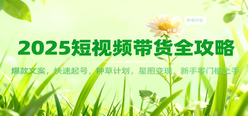 2025短视频带货全攻略：爆款文案，快速起号，种草计划，星图变现，新手零门槛上手-项目创薪