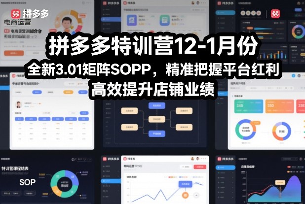 拼多多特训营12-1月份，全新3.01矩阵Sop，精准把握平台红利，高效提升店铺业绩-项目创薪