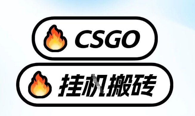 真全网独家CSGO挂G，最新玩法,单日捡漏1K+，不用电脑，不用打游戏【揭秘】-项目创薪