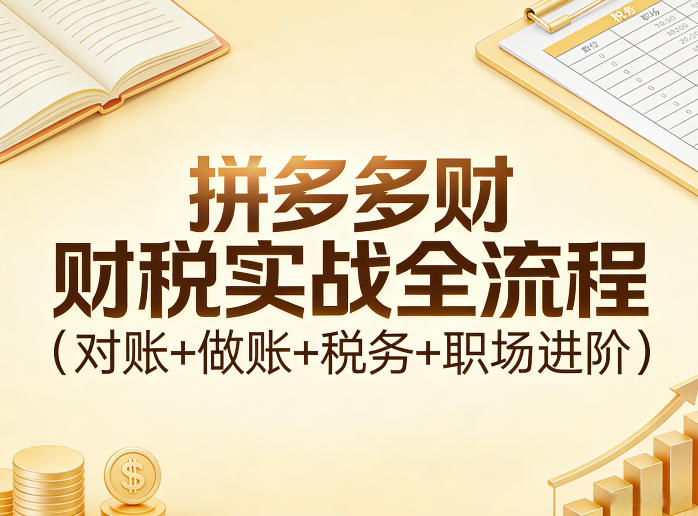 拼多多财税实战全流程(对账+做账+税务+职场进阶)-项目创薪